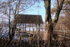 DSC02968