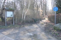 DSC02970