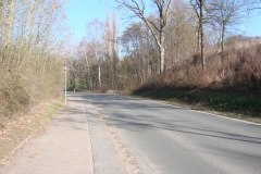 DSC02981