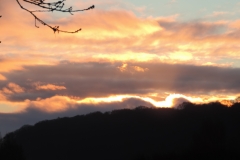 DSCN1318
