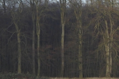 a-Adlerhorst